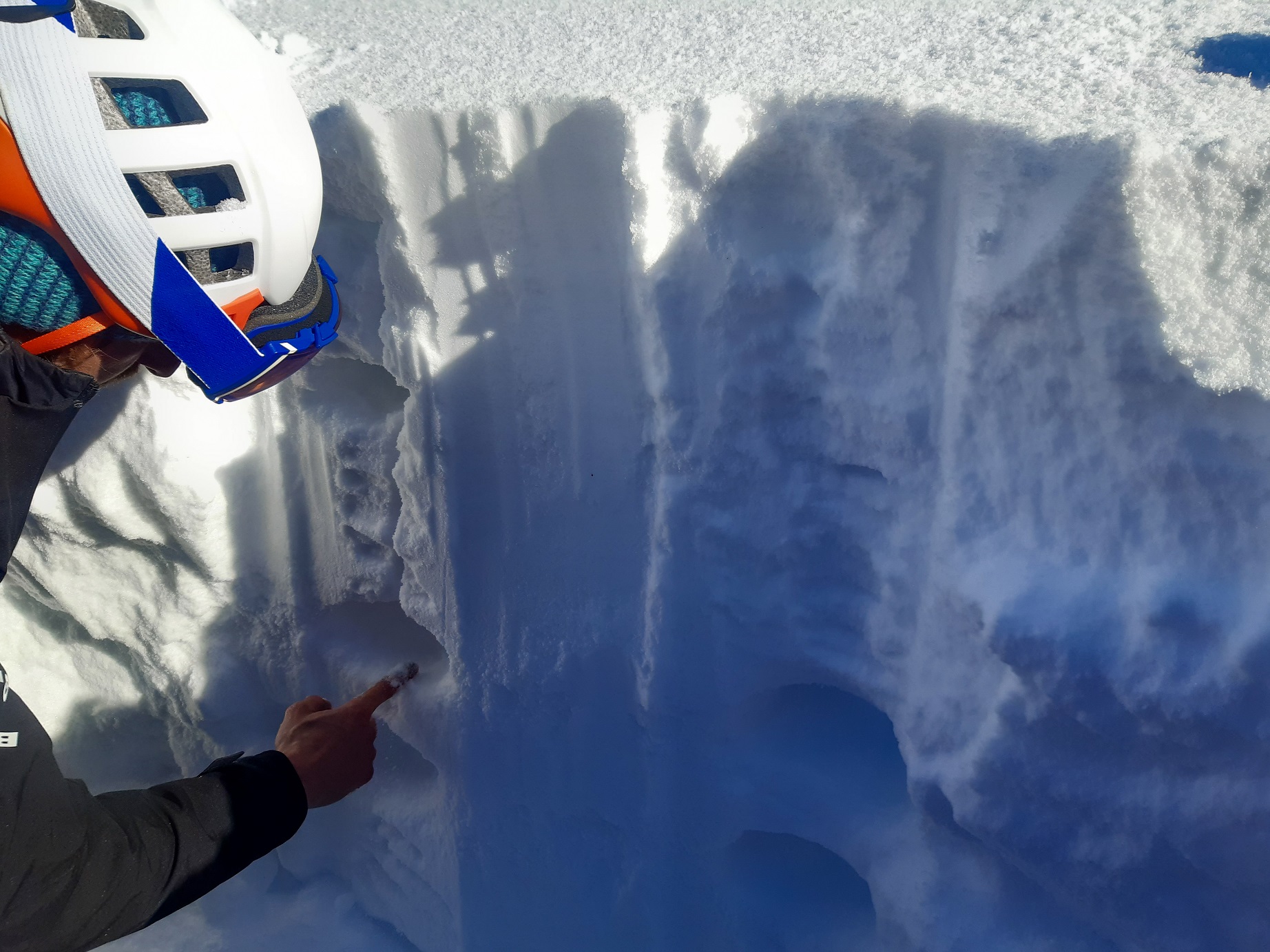 20220205 001 Nob Gapfohler Falben